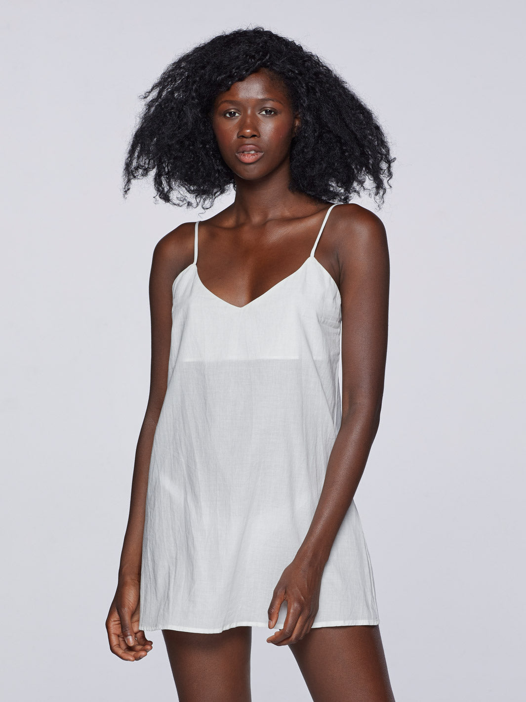 Anemone Available at COAST by COAST